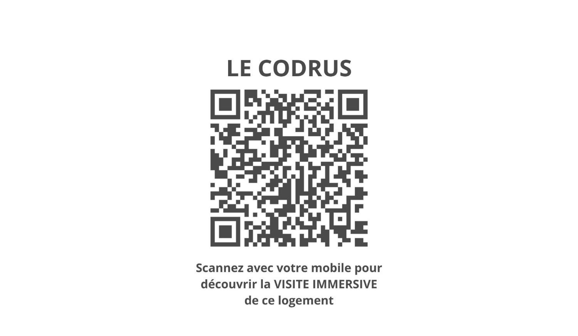 Le Codrus - Charmant Appartement Dans L'Hyper Centre Toulousain Tolosa Esterno foto